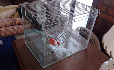 Pecera Hamster - Glass Hamster Habitat