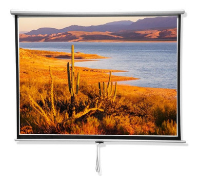 OEM Mat White Projector Screen 84