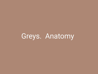 Grey's Anatomy Series Seasons to 14 Digital Download