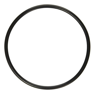 Pentair 272541 O-Ring Für Pool- & Spa-Filter – Ersatzteil Für Multiport-Ventile