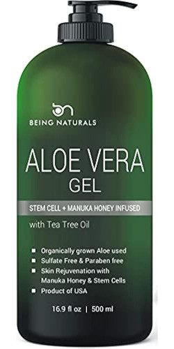 aloe vera leaf Aloe vera fresh leaf Delivered Fresh main image 1
