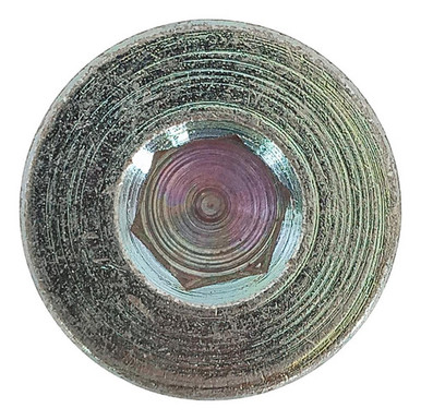 Iveco Plug, Hex Socket 4895080