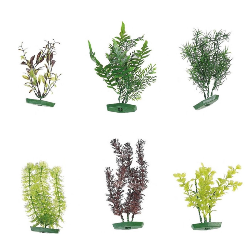 AQ PLANT ASSORTMENT M