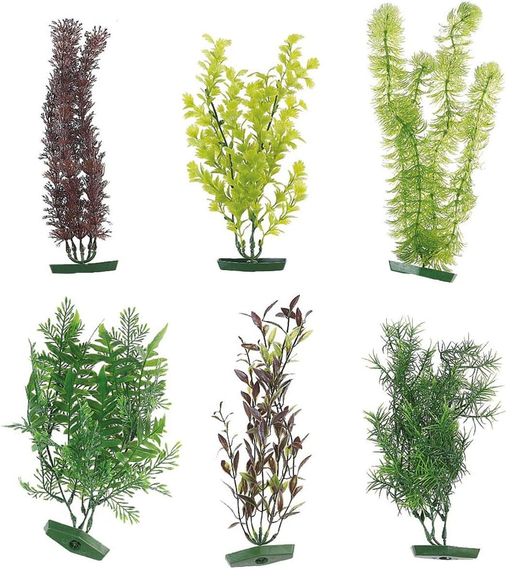 AQ PLANT ASSORTMENT L