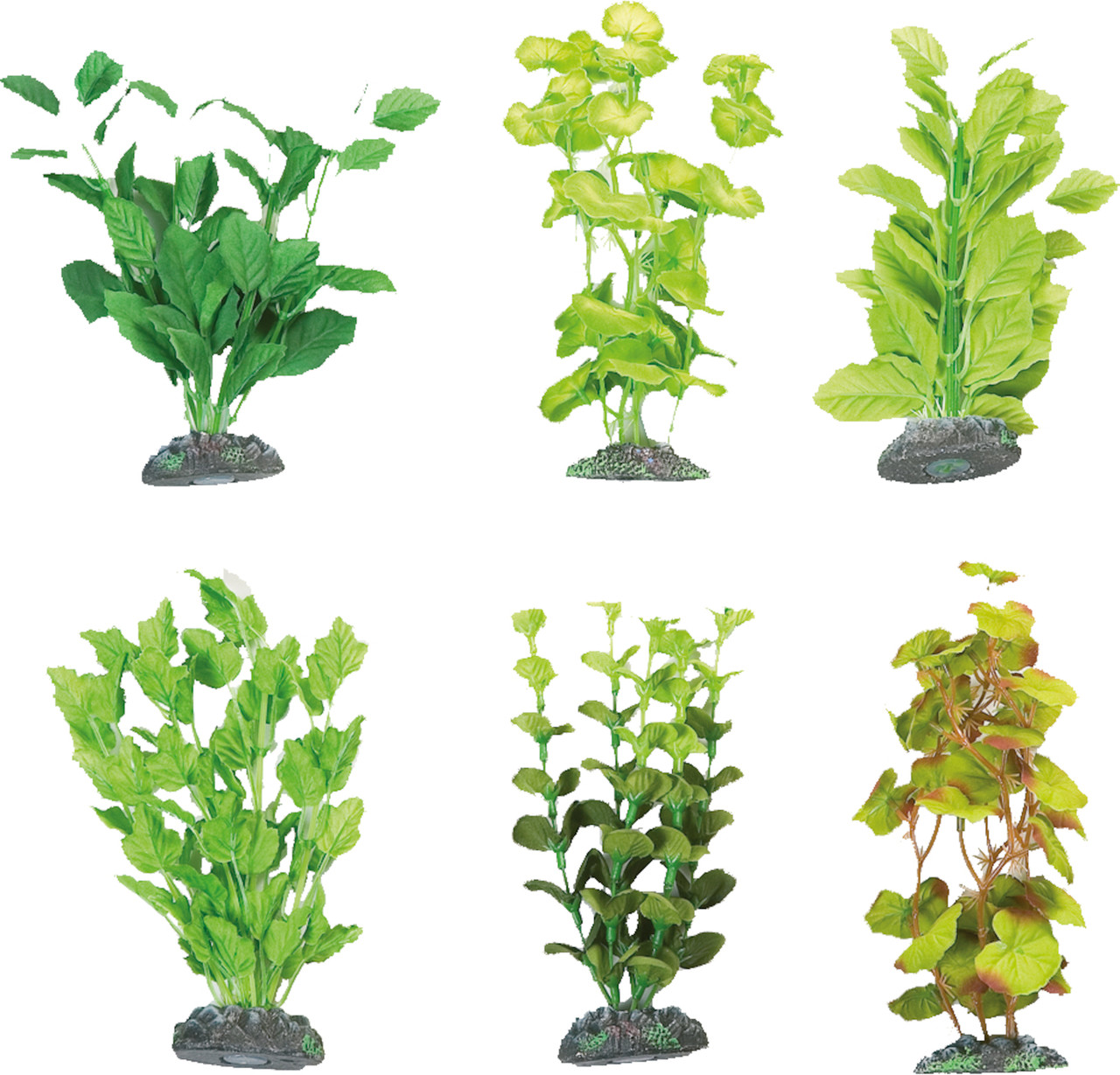 AQ PLANT SILK BRASIL ASS M