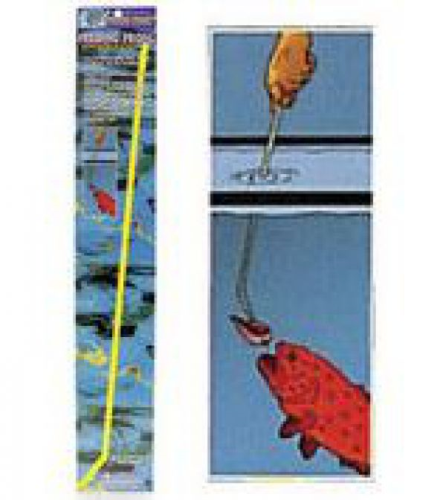 OCEAN NUTRITION FEEDING PRONG 10G