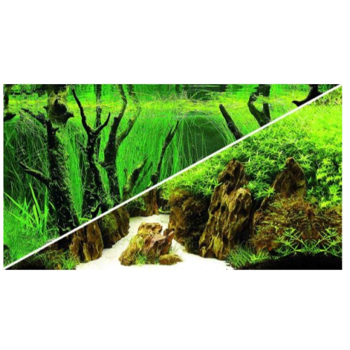 BACKGROUND CANYON/WOODLAND 120X50CM