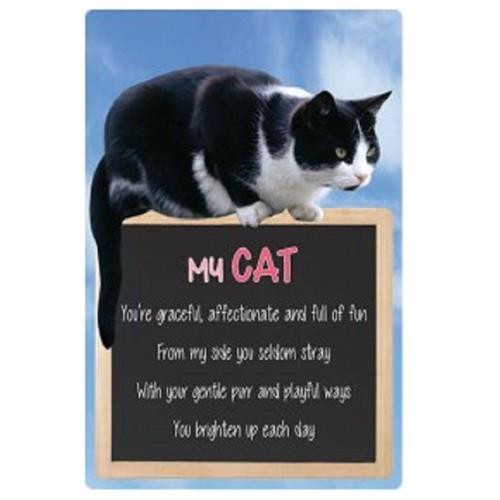MY CAT 3D HOME HANG UP