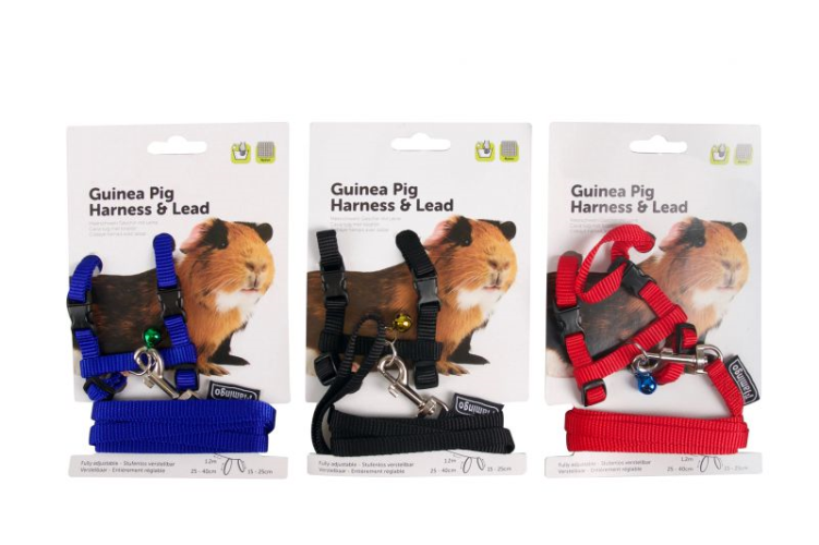 GUINEA PIG HARNASS+LEAD ASS 15/25CM