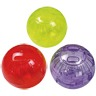 HAMSTER PLAYBALL NEON Pet World