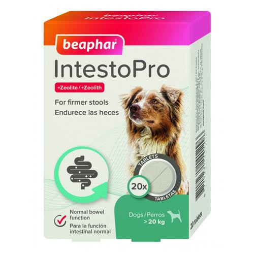 INTESTOPRO ANTI DIARRHEA TABLET LARGE DOG 20 TAB Pet World