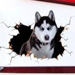 1pc Dog Pattern Car Sticker