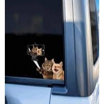 1pc Cat Pattern PVC Car Sticker