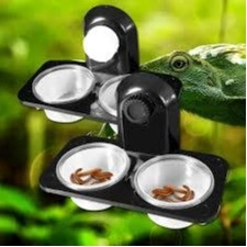 Reptiles Terrarium Insect Spider Chameleon Snake Gecko Food Water Feeding Bowl