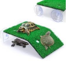 SAAS TURTLE WITH STAND