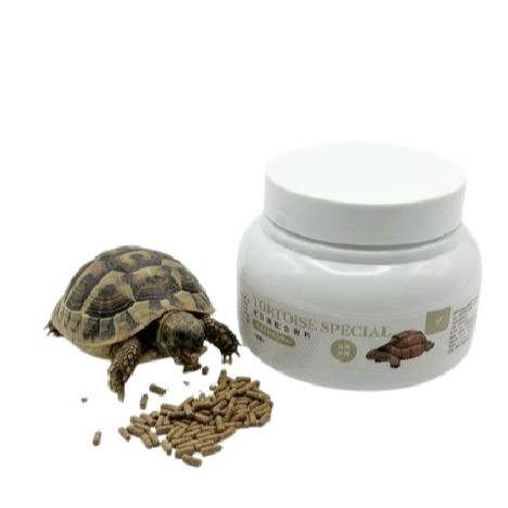 Tortoise Special Food 80 gm
