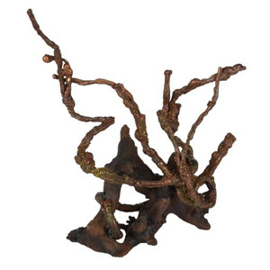 AD AZALEA ROOTS AD AZALEA ROOTS