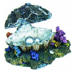 DECORATION SHELL (MOVEMENT)