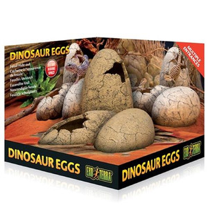 EXO TERRA FOSSIL HIDE DINOSUAR EGGS