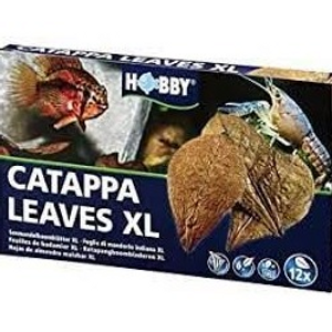 HOBBY CATAPPA LEAVES XL (12 PCS) HOBBY CATAPPA LEAVES XL (12 PCS)