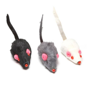 CT SPEEDY MOUSE CT SPEEDY MOUSE