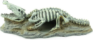 AD SKELO SKELETON CROCODILE 20X8XCM AD SKELO SKELETON CROCODILE 20X8XCM