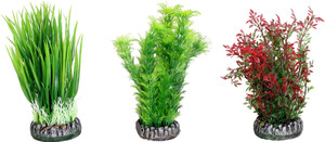 AQ PLANT PLASTIC SRI LANKA ASS S