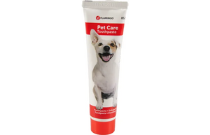 FLAMINGO DOG TOOTHPASTE WITH MINT SCENT 85G