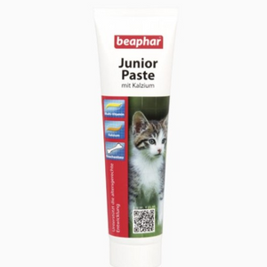 BEAPHAR JUNIOR PASTE CAT 100G BEAPHAR JUNIOR PASTE CAT 100G