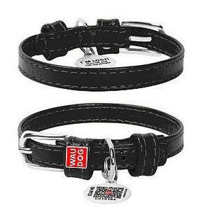 WAUDOG GLAMOUR COLL LEATH BLK 30-39