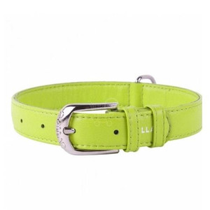 WAUDOG GLAMOUR COLL LEATH LGN 38-49