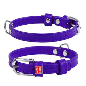 WAUDOG GLAMOUR COLL LEATH PPL 35MM