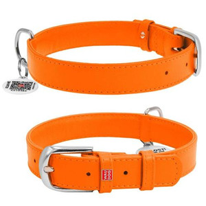 WAUDOG GLAMOUR COLL/TAG ORA 45-53CM
