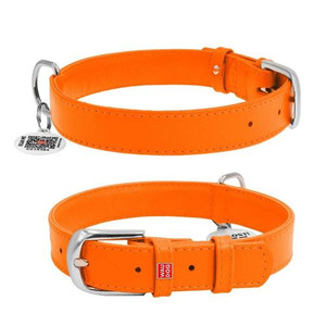 WAUDOG GLAMOUR COLL/TAG ORA 53-61CM