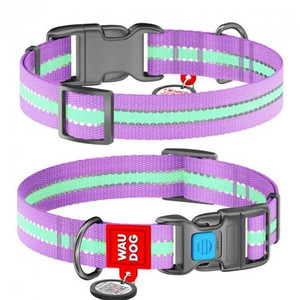 WAUDOG COLLAR NYLON GLOWS 23-35PURP