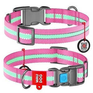 WAUDOG COLLAR NYLON GLOWS 23-35PINK