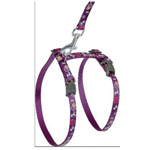 ART SP HARN+LEASH MICE PURPLE 10MM