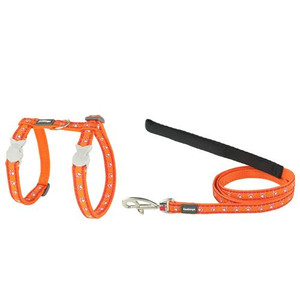Cat H&L Combo Design D Paws Orange