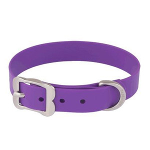 Collar Vivid PVC Purpe 25mm 56-66cm Collar Vivid PVC Purpe 25mm 56-66cm
