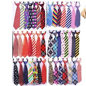 NECK TIE ASSORTED COLORS