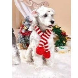 Stripped Pattern Scarf-M Stripped Pattern Scarf-M