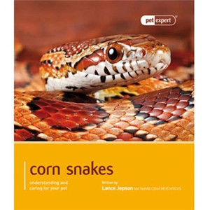 CORN SNAKE - PET EXPERT CORN SNAKE - PET EXPERT