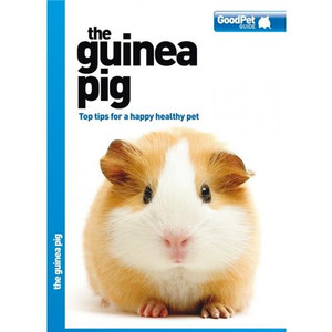 THE GUINEA PIG - GOOD PET GUIDE THE GUINEA PIG - GOOD PET GUIDE
