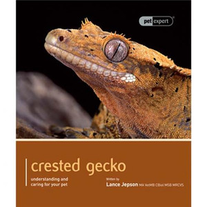 CRESTED GECKO - PET EXPERT