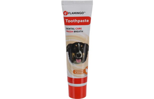 Flamingo Toothpaste Chicken Flavour 85G Flamingo Toothpaste Chicken Flavour 85G