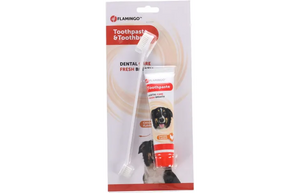 Flamingo Toothbrush & Toothpaste (Chicken Flavor) Bundle