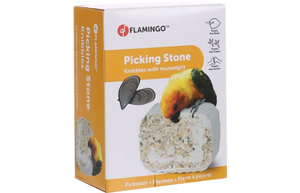 Flamingo Picking Stone