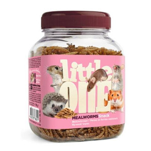 Little One Snack Mealworms 70g Little One Snack Mealworms 70g