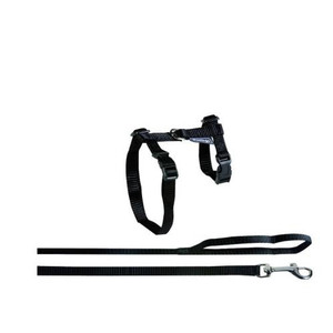 CAT H&L CLAS ELA BIG