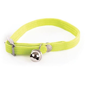 COLLAR CAT AS COLLAR CAT AS